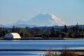 mountain, river, trees, woods, foliage, water, national park, nature, scenery, stratovolcano, mount rainier national park, tahoma, tacoma, mount rainier, seattle, washington, tacoma, tacoma, tacoma, tacoma, tacoma, mount rainier